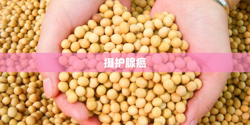 摄护腺癌