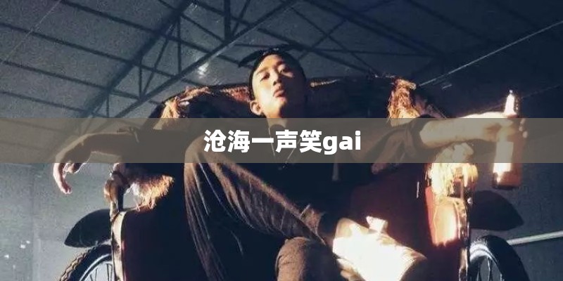 沧海一声笑gai