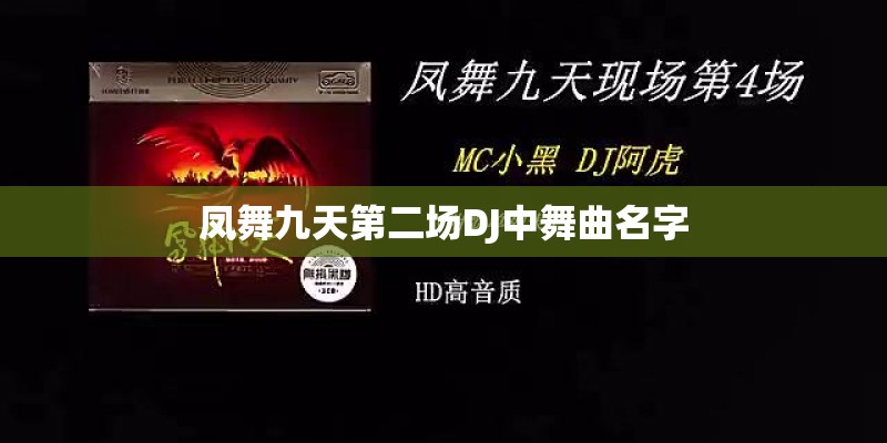 凤舞九天第二场DJ中舞曲名字 凤舞九天第二场DJ中舞曲名字
