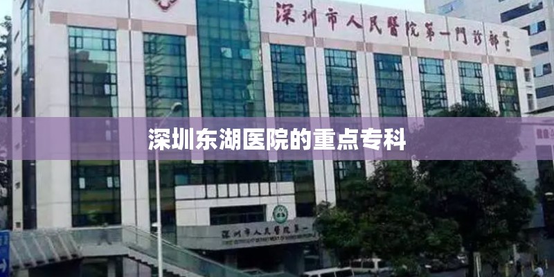 深圳东湖医院的重点专科