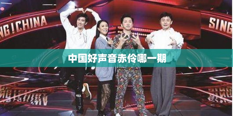中国好声音赤伶哪一期
