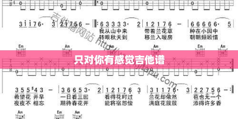 只对你有感觉吉他谱 只对你有感觉吉他谱