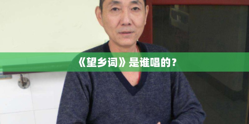 《望乡词》是谁唱的? 《望乡词》是谁唱的?