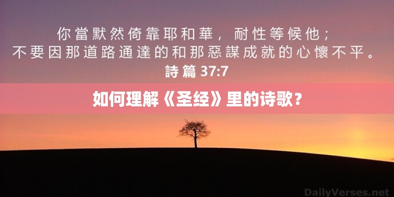 如何理解《圣经》里的诗歌？