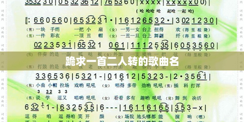 跪求一首二人转的歌曲名
