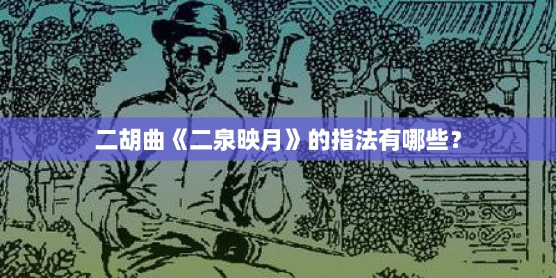 二胡曲《二泉映月》的指法有哪些？