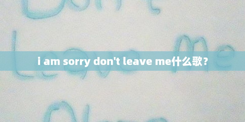 i am sorry don't leave me什么歌？