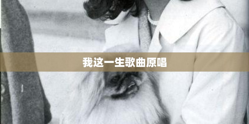 我这一生歌曲原唱