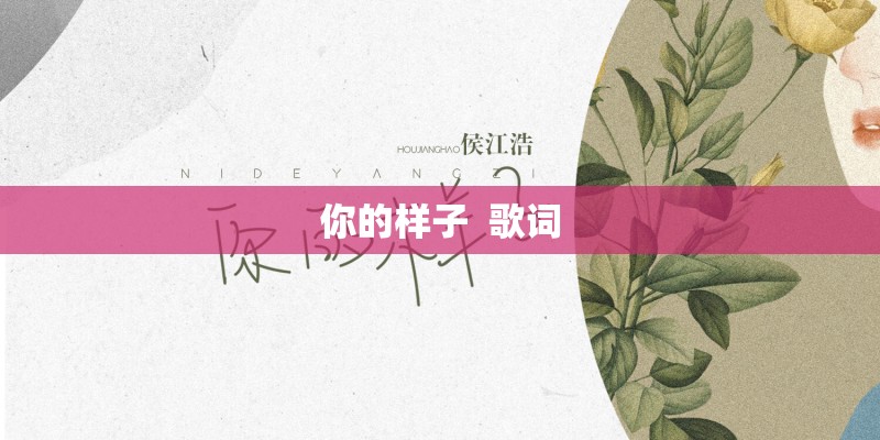 所念皆星河吉他谱指弹