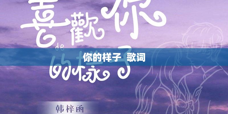 你的样子  歌词
