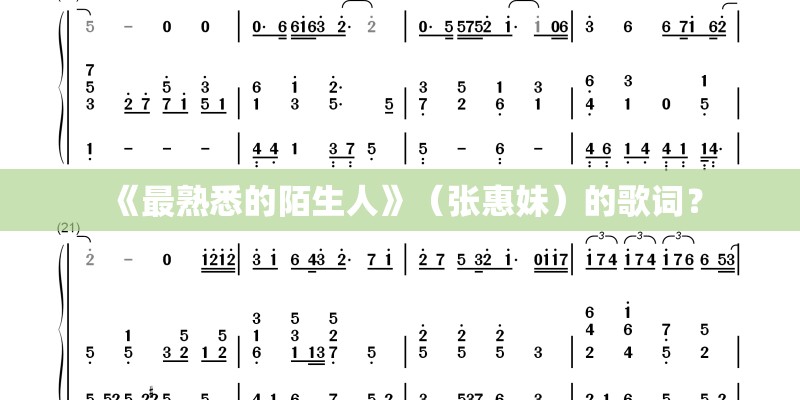 《最熟悉的陌生人》（张惠妹）的歌词？