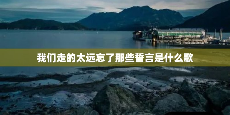 我们走的太远忘了那些誓言是什么歌