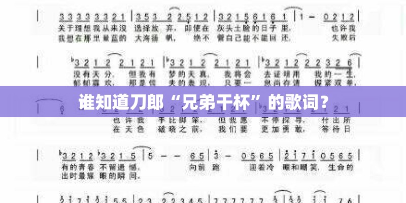 谁知道刀郎“兄弟干杯”的歌词？