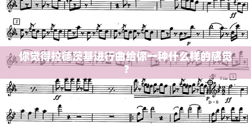 你觉得拉德茨基进行曲给你一种什么样的感觉？