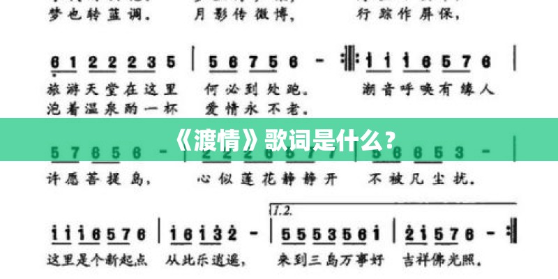 《渡情》歌词是什么？