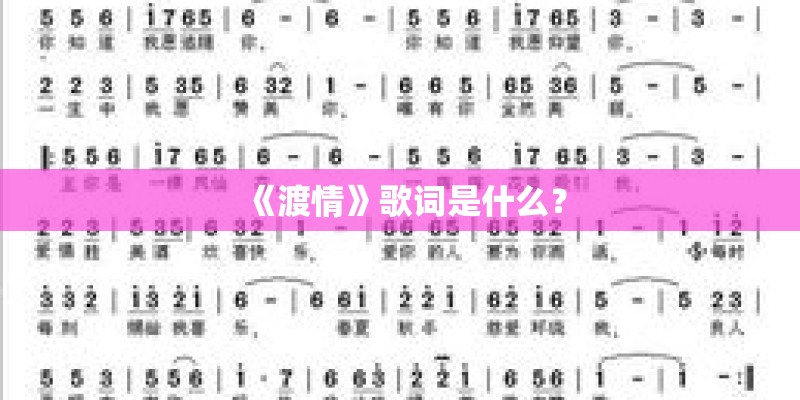 《渡情》歌词是什么？