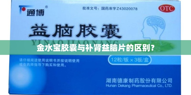 《渡情》歌词是什么？