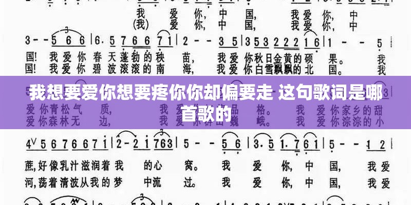 我想要爱你想要疼你你却偏要走 这句歌词是哪首歌的